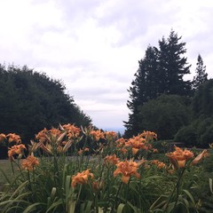 View from Council Crest toward Mt. Hood, which is NOT visible