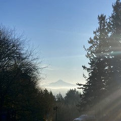 View from Council Crest toward Mt. Hood, which is visible