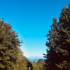View from Council Crest toward Mt. Hood, which is visible