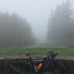View from Council Crest toward Mt. Hood, which is NOT visible