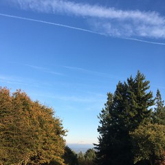 View from Council Crest toward Mt. Hood, which is visible