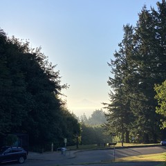 View from Council Crest toward Mt. Hood, which is visible
