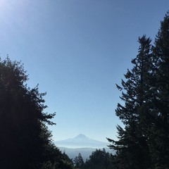 View from Council Crest toward Mt. Hood, which is visible