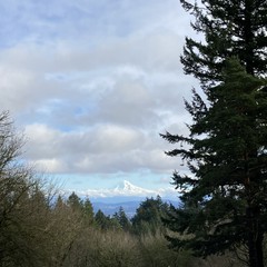 View from Council Crest toward Mt. Hood, which is visible