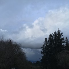 View from Council Crest toward Mt. Hood, which is NOT visible