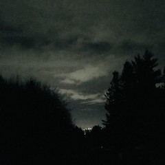 View from Council Crest toward Mt. Hood, which is NOT visible
