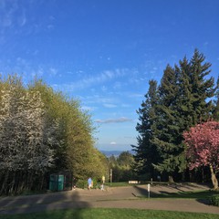 View from Council Crest toward Mt. Hood, which is visible