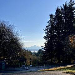 View from Council Crest toward Mt. Hood, which is visible