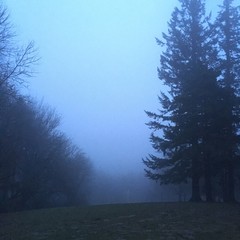 View from Council Crest toward Mt. Hood, which is NOT visible