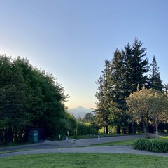 View from Council Crest toward Mt. Hood, which is visible