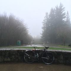 View from Council Crest toward Mt. Hood, which is NOT visible