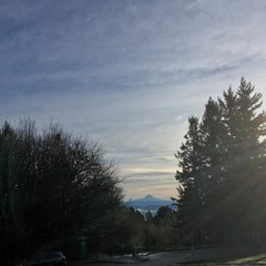 View from Council Crest toward Mt. Hood, which is visible