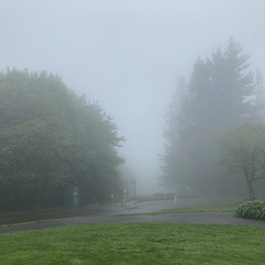 View from Council Crest toward Mt. Hood, which is NOT visible