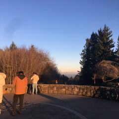View from Council Crest toward Mt. Hood, which is visible