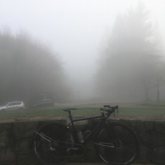 View from Council Crest toward Mt. Hood, which is NOT visible