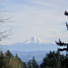 Mt. Hood under a silvery sky in the early winter afternoon. You can just make out many details on the mountain because I took this photo with an actual camera (not just a phone)