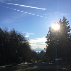 View from Council Crest toward Mt. Hood, which is visible