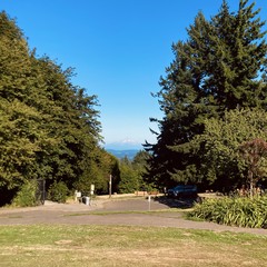 Mt Hood on a scented mid August afternoon