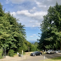 Mt. Hood framed by evergreens and a few clouds