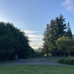 View from Council Crest toward Mt. Hood, which is visible