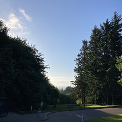 View from Council Crest toward Mt. Hood, which is visible