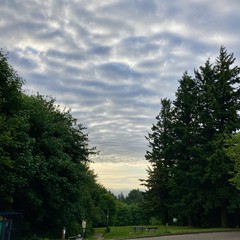 View from Council Crest toward Mt. Hood, which is visible