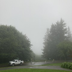 View from Council Crest toward Mt. Hood, which is NOT visible