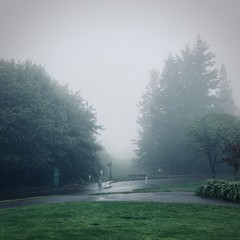View from Council Crest toward Mt. Hood, which is NOT visible