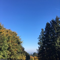 View from Council Crest toward Mt. Hood, which is visible