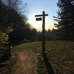 View from Council Crest toward Mt. Hood, which is visible