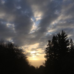 View from Council Crest toward Mt. Hood, which is NOT visible