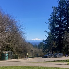 On a cloudless day it somehow becomes MORE challenging to take a good picture of Mt. Hood and then describe it. Deep clear sky, tall brooding firs, brilliant white mountain