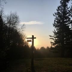 View from Council Crest toward Mt. Hood, which is visible