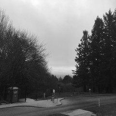 View from Council Crest toward Mt. Hood, which is NOT visible