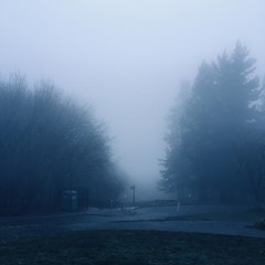 View from Council Crest toward Mt. Hood, which is NOT visible