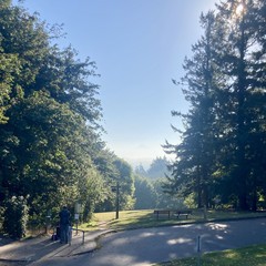 Mt Hood barely visible through haze on an otherwise cloudless morning. Sun shining through a tall fir in the near distance. In the foreground a hiker prepares his backpack