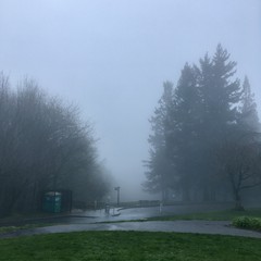 View from Council Crest toward Mt. Hood, which is NOT visible