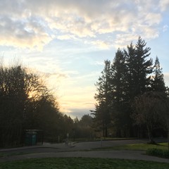 View from Council Crest toward Mt. Hood, which is NOT visible