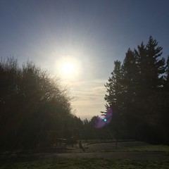 View from Council Crest toward Mt. Hood, which is visible