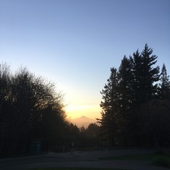 View from Council Crest toward Mt. Hood, which is visible