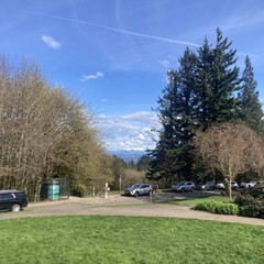 Fluffy low altitude clouds occlude the top of Mt. Hood under a bright blue sky with a single contrail in it. A tall stand of firs frames the right edge of the photo; grass in the foreground is bright green