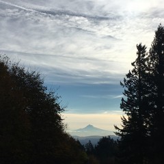 View from Council Crest toward Mt. Hood, which is visible