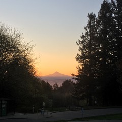 View from Council Crest toward Mt. Hood, which is visible