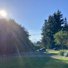 View from Council Crest toward Mt. Hood, which is visible