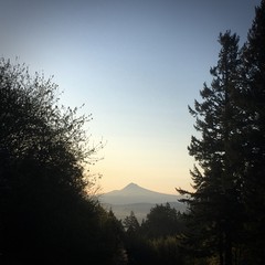 View from Council Crest toward Mt. Hood, which is visible