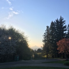 View from Council Crest toward Mt. Hood, which is visible