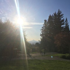 View from Council Crest toward Mt. Hood, which is visible