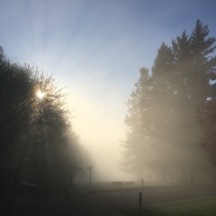 View from Council Crest toward Mt. Hood, which is NOT visible