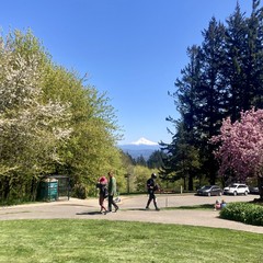 Mt. Hood snowy white under a brilliant blue sky. The park is justifiably busy: In the foreground one couple is walking downhill, another is seated on the lawn admiring the view, and a longboard skater is walking up the path.