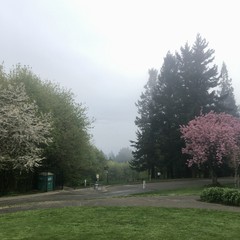 View from Council Crest toward Mt. Hood, which is NOT visible